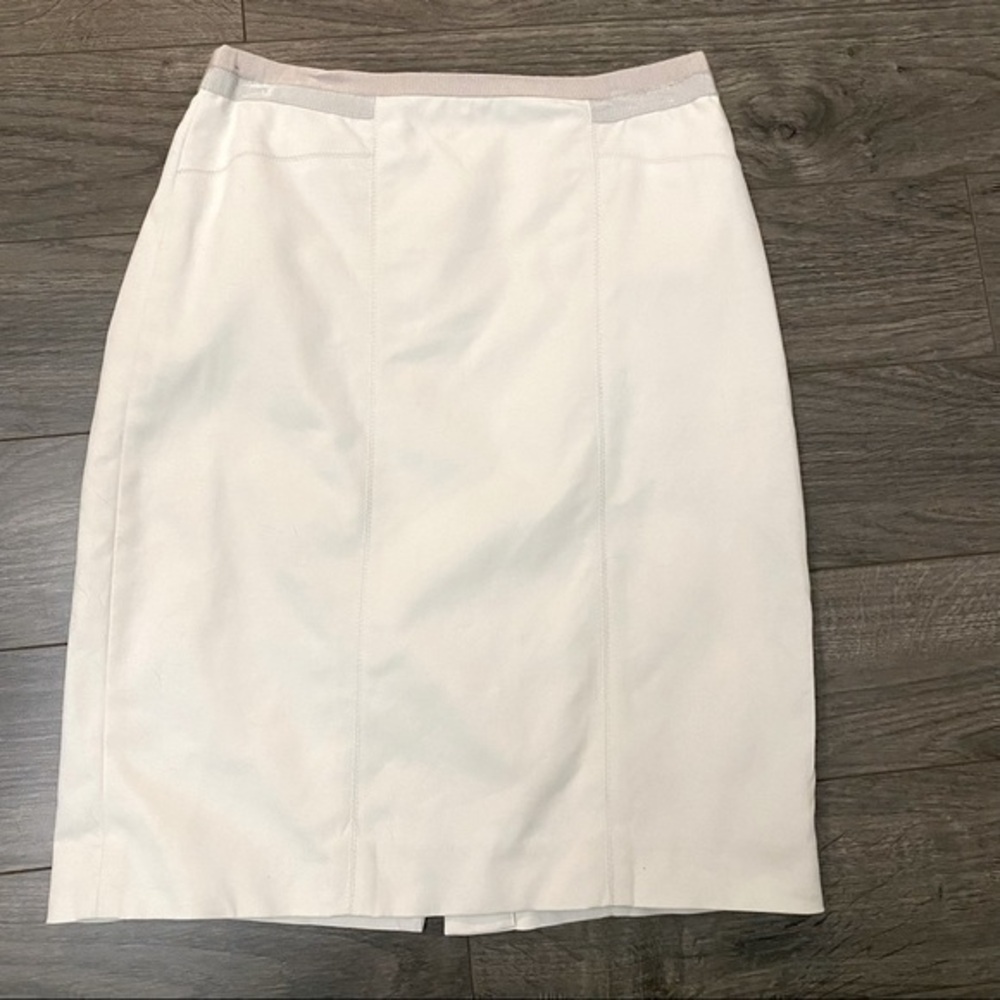 𝅺Club Monaco Skirt